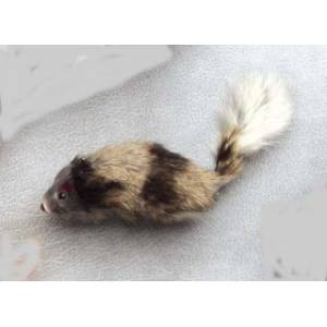 A-Door-Able Real Fur Mouse