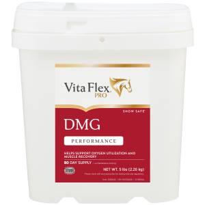 Vita Flex DMG Performance Supplement