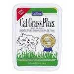 Cat Grass Plus Catnip Seeds