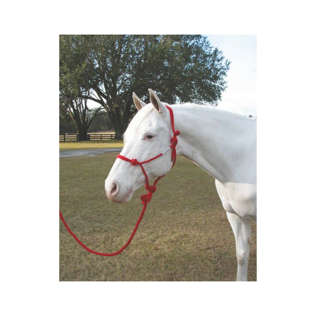 Hamilton Knotted Rope Halter With Matching Lead For Horses