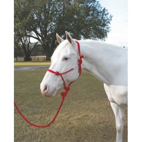 Hamilton Knotted Rope Halter With Matching Lead For Horses