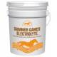 Summer Games Electrolye Supplement For Horses