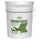 Microphase Supplement For Horses