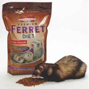 Senior Ferret Food Diet