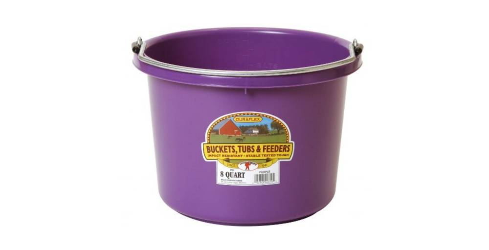 Little Giant Plastic Bucket | HorseLoverZ