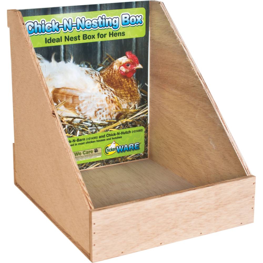 Коробка для несушек. Коробка курочки. Курица в коробке. Коробка для куриных кубиков. Nesting box