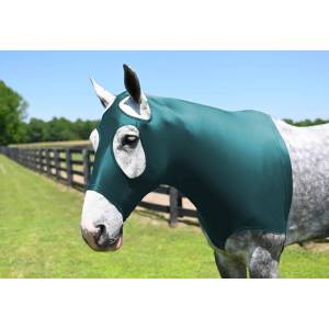 StretchX Mane Stay Hood - Turquoise - Small (500-800lbs)