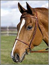 Henri de Rivel Pro Fancy Raised Bridle With Laced Reins