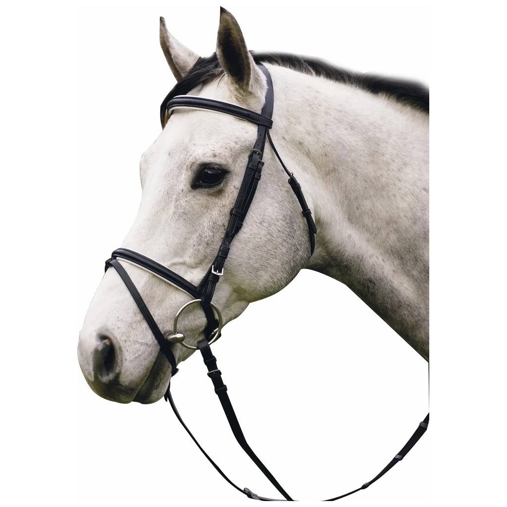 Henri de Rivel Pro Dressage Bridle with Flash and Web Reins