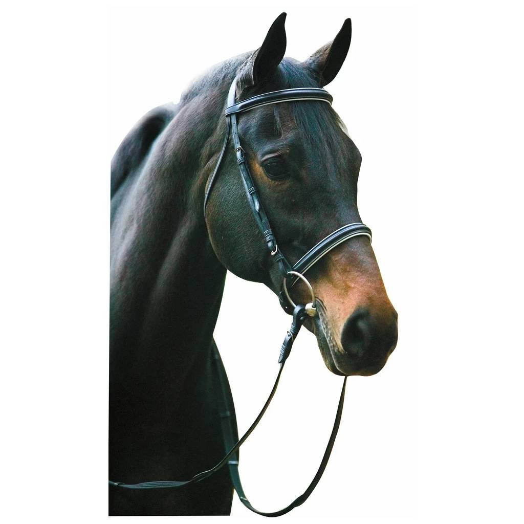 Henri de Rivel Pro Padded Dressage Bridle with Web Reins