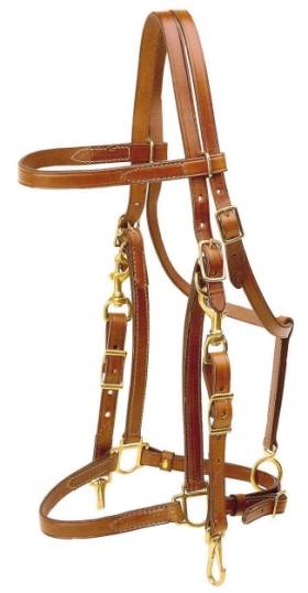 TORY LEATHER Halter/Bridle Combination Trail Bridle - Brass
