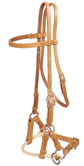 Tory Leather Single Nose Side Pull