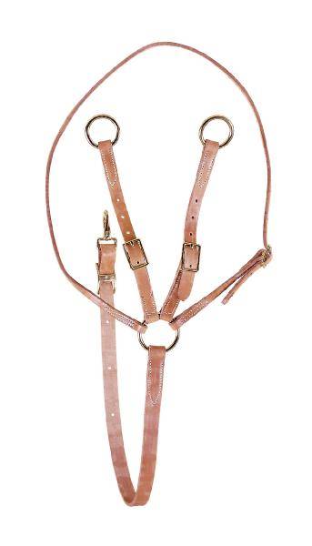 Tory Leather Training Fork Martingale - Brass Hardware