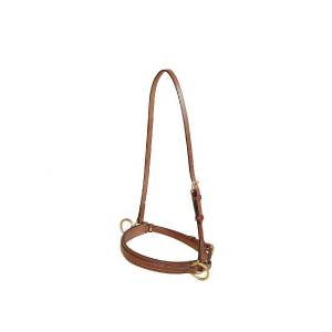 Tory Leather Bridle Leather Lunge Caveson