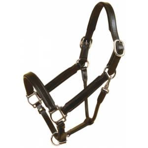 Tory Leather Bridle Leather Padded Halter with  Nickel Hardware
