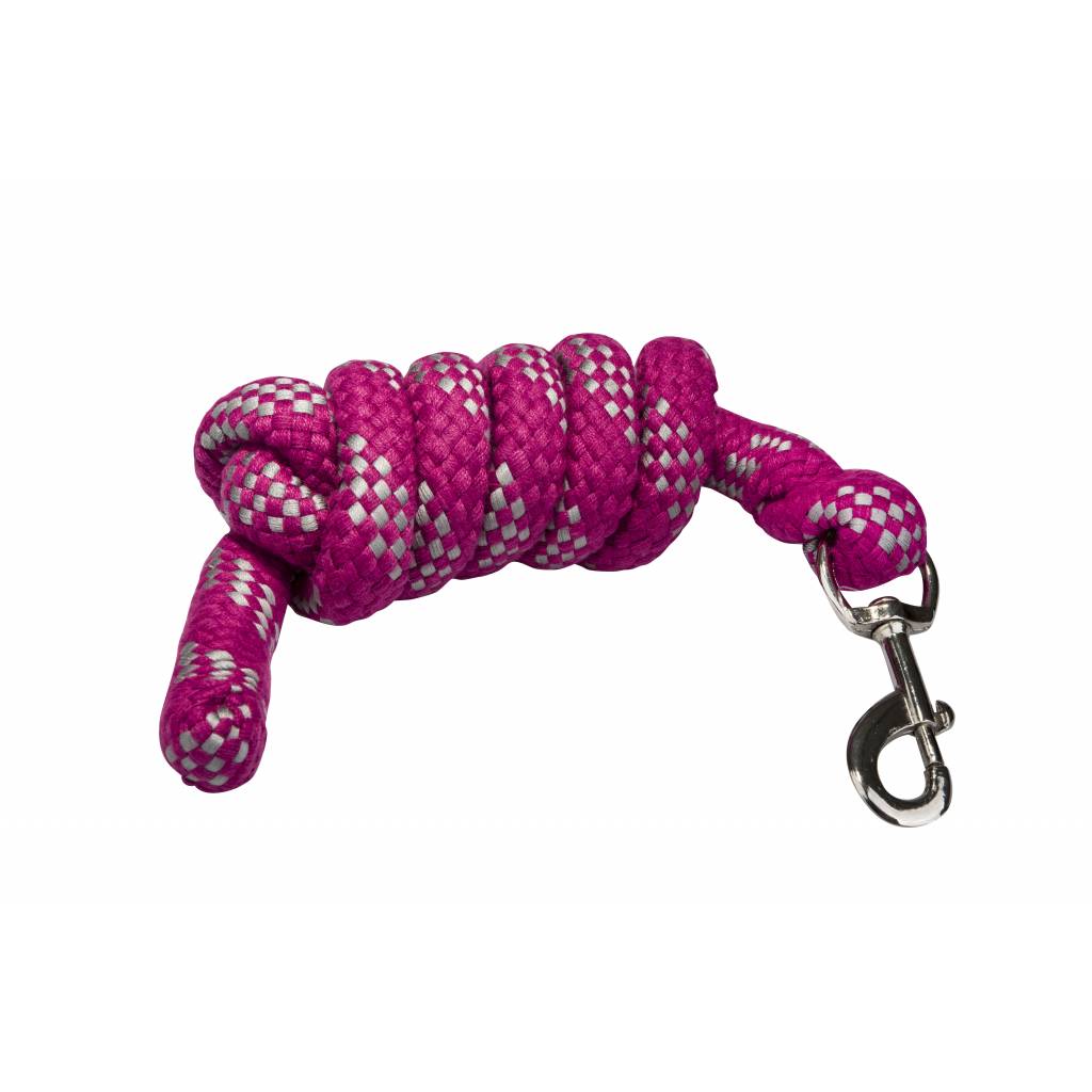 MEMORIAL DAY BOGO: Gatsby Acrylic 6' Lead Rope with Bolt Snap - YOUR PRICE FOR 2