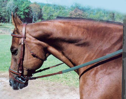 Tory Leather Padded Flat Bridle