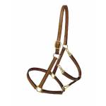 Tory Leather Track/Grooming Conversion Halter w/ Brass Hardware