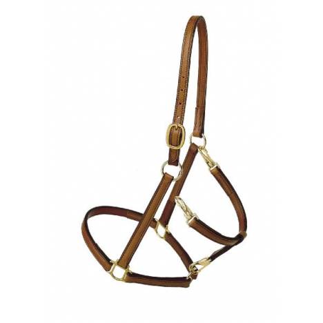 Tory Leather Track/Grooming Conversion Halter with Brass Hardware