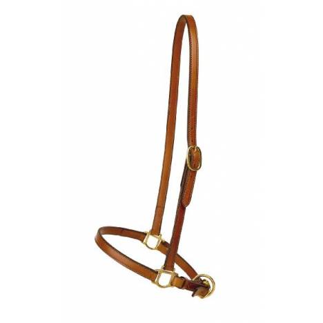 Tory Leather 3/4" Grooming Halter - Brass Hardware