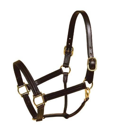 Tory Leather Triple Stitched Halter - Snap & Brass Hardware