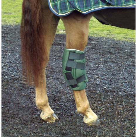 Cashel Boomer's Hock Sock