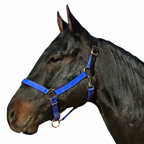 Econo Breakaway Crown Halter with Snap Average Roy