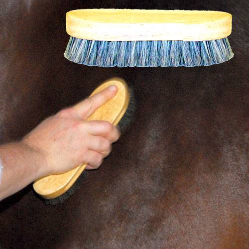 Pig Bristle Body Brush