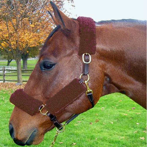 Basic Fleece Halter Tube Set