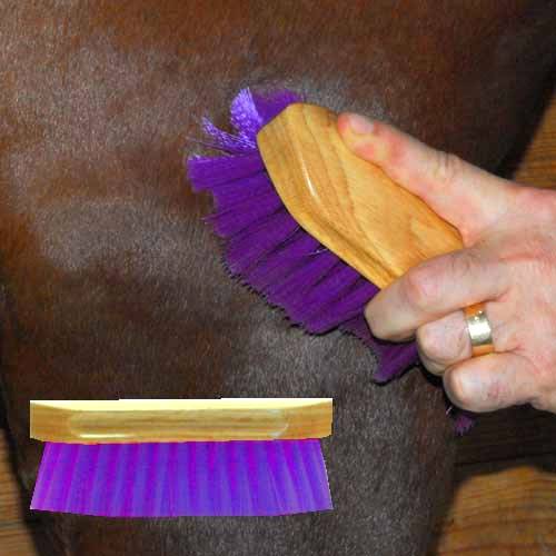 Pony Brush
