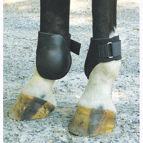 Neoprene Fetlock Boot