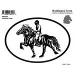 Decal - Icelandic Horse - Pack Of 6