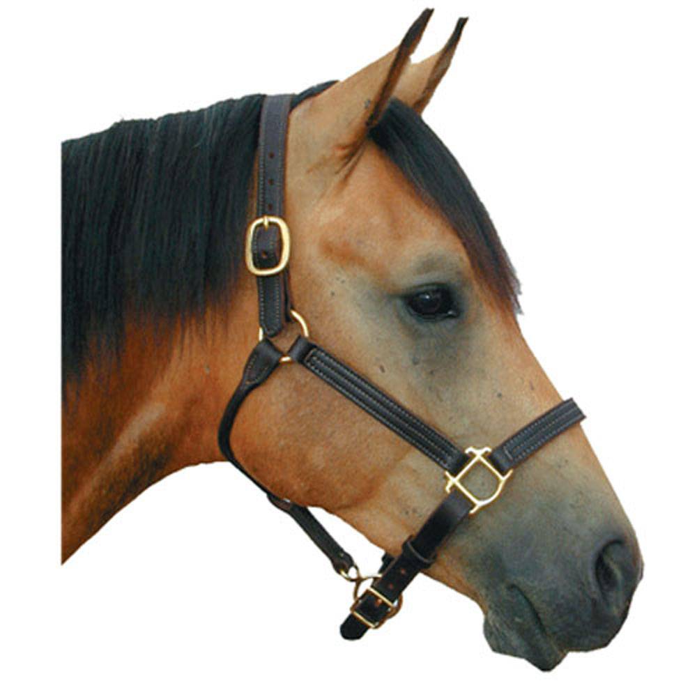 H300FB Deluxe Leather 1 Track Halter sku H300FB