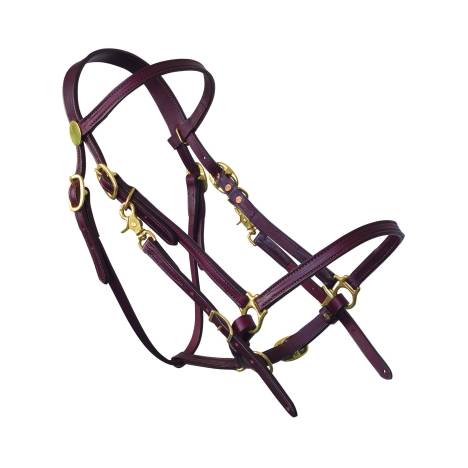 Tucker Halter Bridle Lite