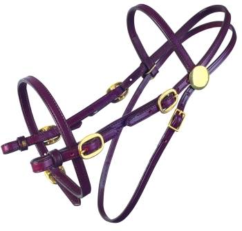 Tucker Pleasure Trail Bridle