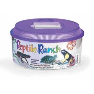 Reptile Ranch Home For Reptiles