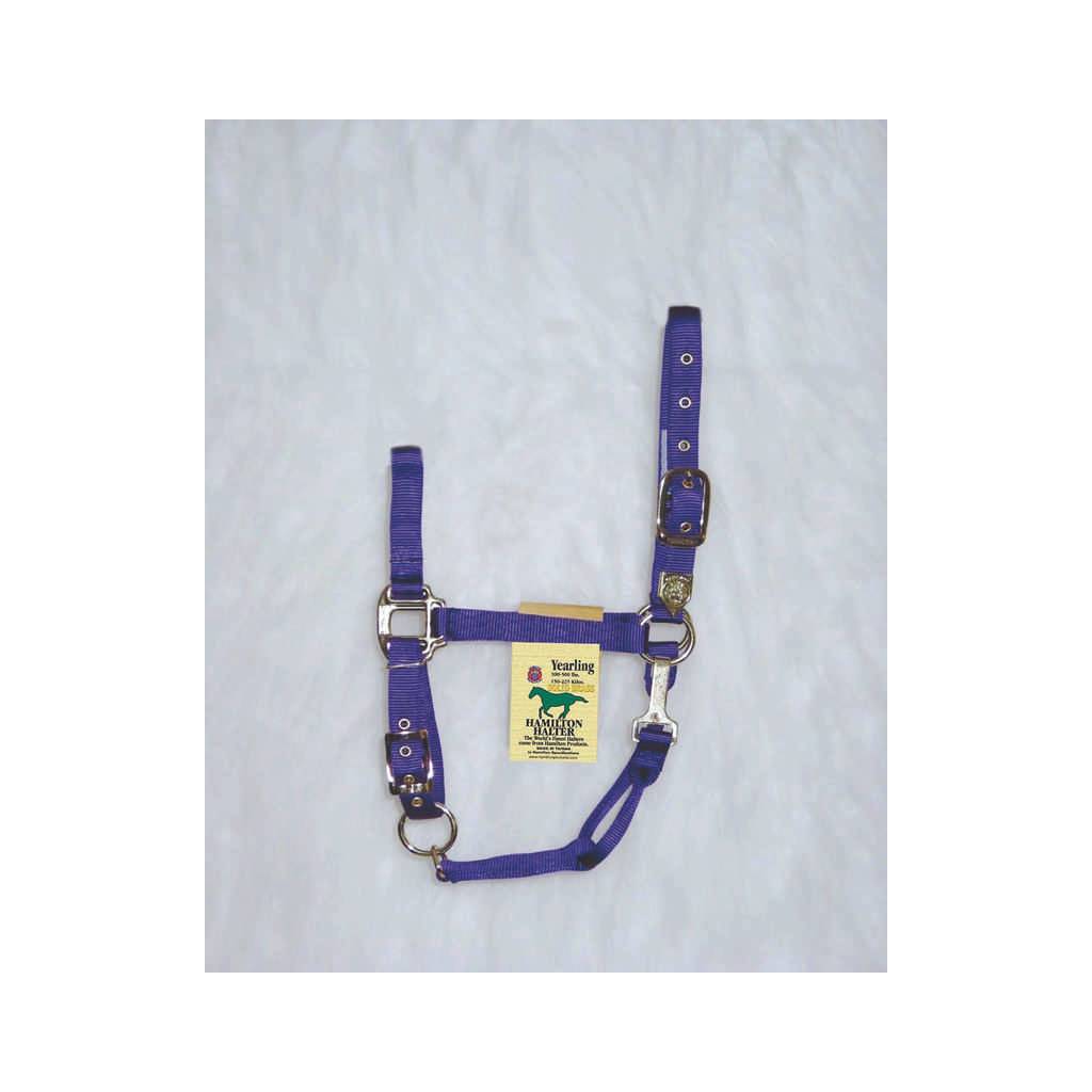 Nylon Chin Halter For Yearlings