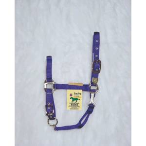 Nylon Chin Halter For Yearlings