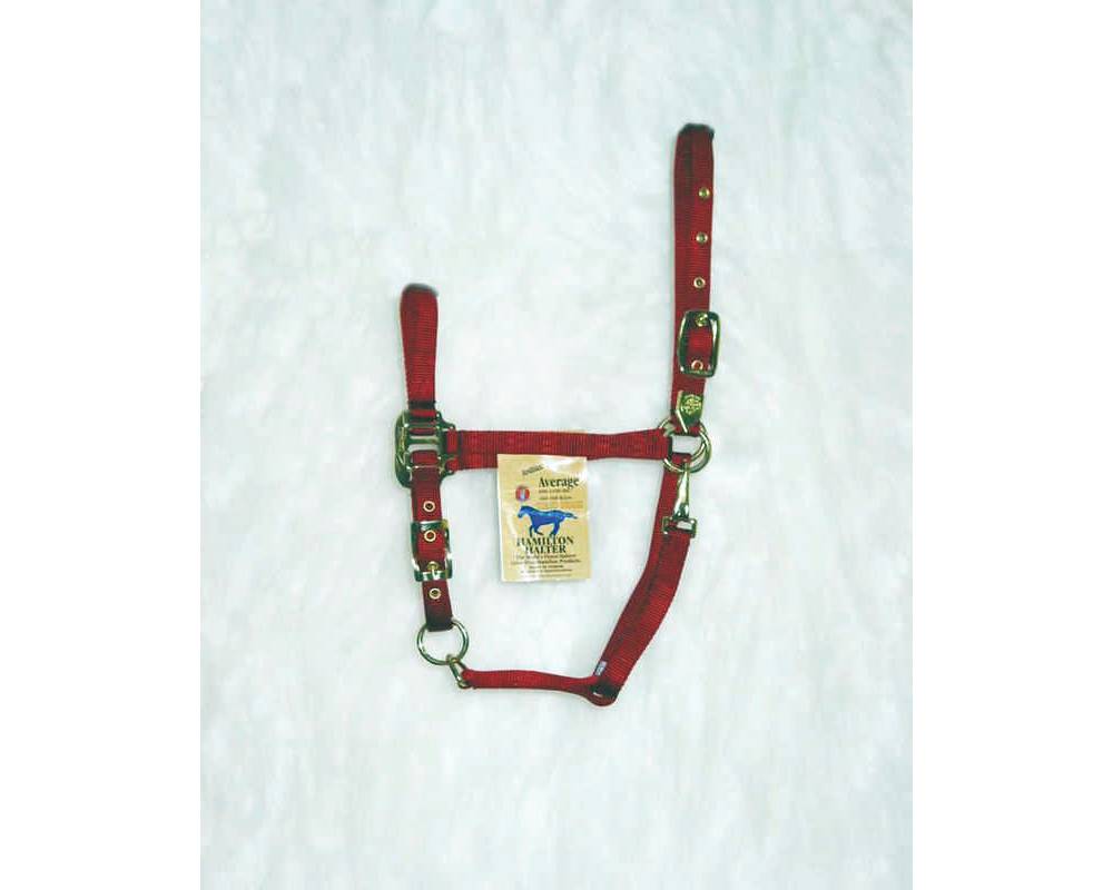 Arabian Horse Halter Cribbing Collars HorseLoverZ