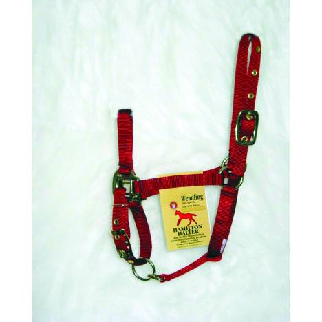 Hamilton Chin Halter For Weanlings