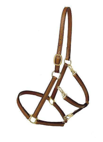Tory Leather Track/Grooming Conversion Halter with  Brass Hardware