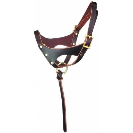 Perri's "Grow With Me" Leather Foal Halter