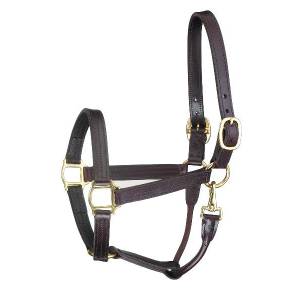 Perri's Premium Track Style Leather Halter with Snap