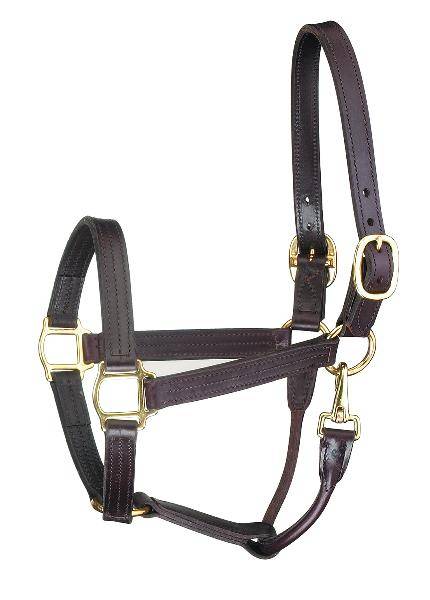 Perri's Premium Track Style Leather Halter with Snap