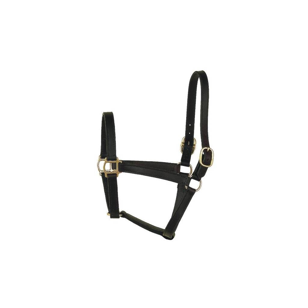 Perri's Track Style Leather Turnout Halter