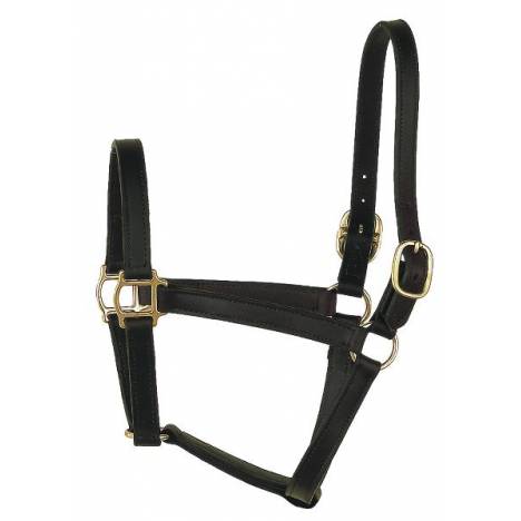 Perri's Track Style Leather Turnout Halter