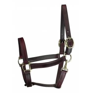 Perri's Track Style Leather Turnout Halter With Snap
