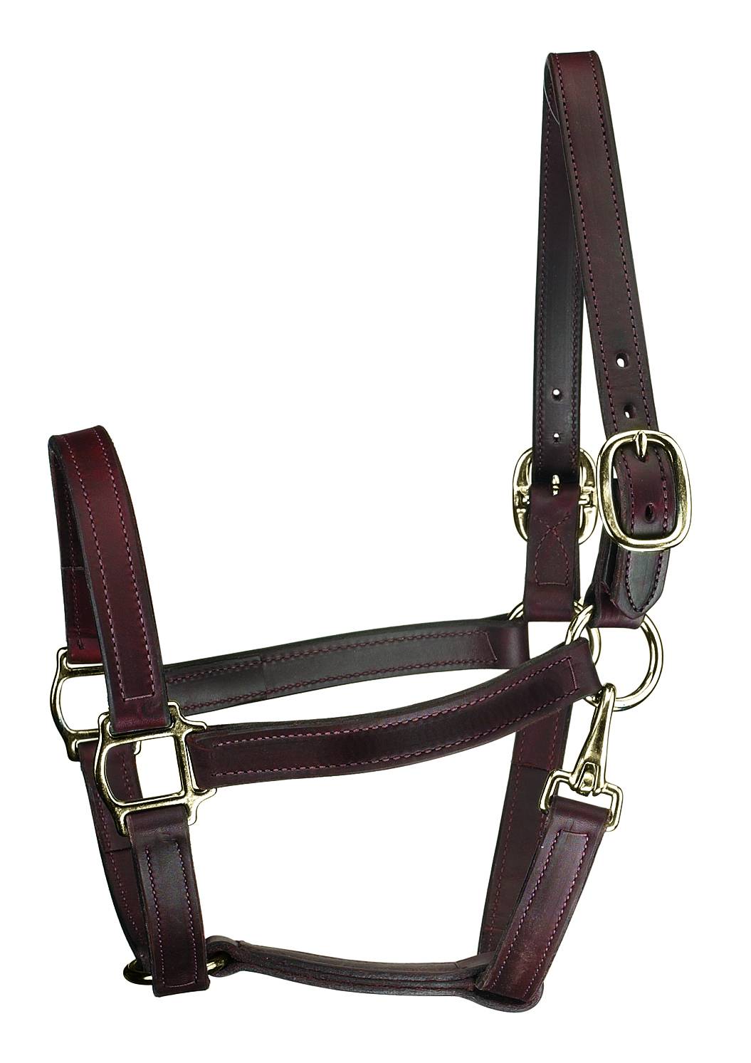 Perri's Track Style Leather Turnout Halter With Snap