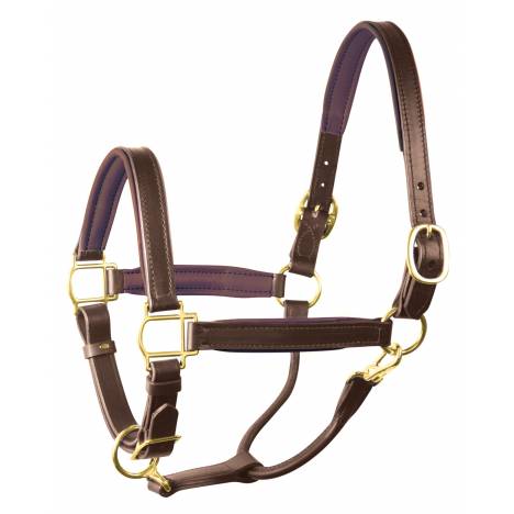 Perri's Soft Padded Leather Halter - FREE Breakaway Halter with Purchase - Valued at $41.00