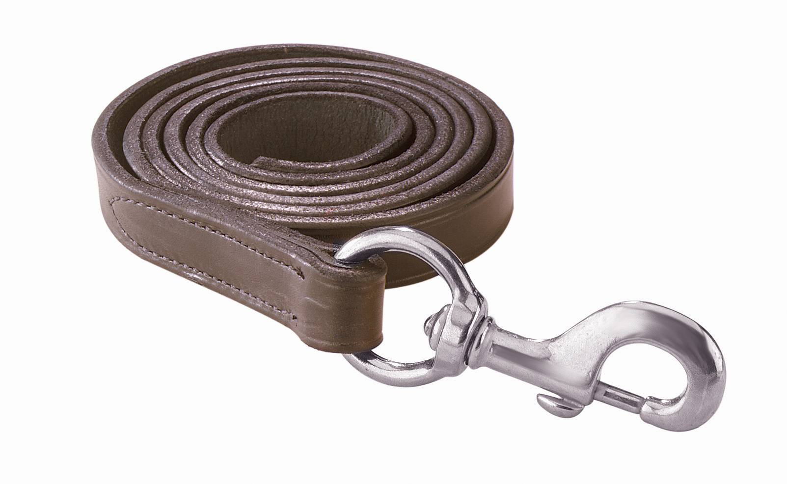 Perri's Leather Lead with Snap